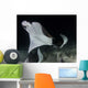 Monk's Mobula Feeding Plankton Wall Decal Design 4