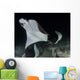 Monk's Mobula Feeding Plankton Wall Decal Design 4