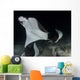 Monk's Mobula Feeding Plankton Wall Decal Design 4