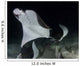 Monk's Mobula Feeding Plankton Wall Decal Design 4
