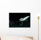 Monk's Mobula Feeding Plankton Wall Decal Design 3