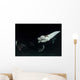 Monk's Mobula Feeding Plankton Wall Decal Design 3