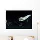 Monk's Mobula Feeding Plankton Wall Decal Design 3
