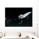 Monk's Mobula Feeding Plankton Wall Decal Design 3