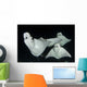 Monk's Mobula Feeding Plankton Wall Decal Design 2