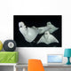 Monk's Mobula Feeding Plankton Wall Decal Design 2