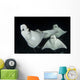 Monk's Mobula Feeding Plankton Wall Decal Design 2