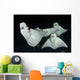 Monk's Mobula Feeding Plankton Wall Decal Design 2