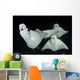Monk's Mobula Feeding Plankton Wall Decal Design 2