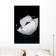 Monk's Mobula Feeding Plankton Wall Decal Design 1