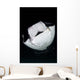 Monk's Mobula Feeding Plankton Wall Decal Design 1
