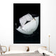 Monk's Mobula Feeding Plankton Wall Decal Design 1