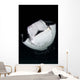 Monk's Mobula Feeding Plankton Wall Decal Design 1