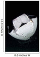 Monk's Mobula Feeding Plankton Wall Decal Design 1