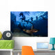 California Sea Lions Playing Wall Decal Design 6
