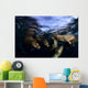 California Sea Lions Playing Wall Decal Design 4