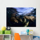 California Sea Lions Playing Wall Decal Design 4