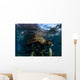 California Sea Lions Playing Wall Decal Design 3
