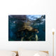 California Sea Lions Playing Wall Decal Design 3