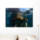 California Sea Lions Playing Wall Decal Design 3