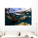 California Sea Lions Playing Wall Decal Design 1