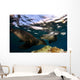 California Sea Lions Playing Wall Decal Design 1