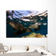 California Sea Lions Playing Wall Decal Design 1