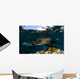 California Sea Lion Playing Wall Decal Design 4