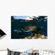 California Sea Lion Playing Wall Decal Design 4