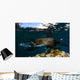 California Sea Lion Playing Wall Decal Design 4