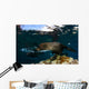 California Sea Lion Playing Wall Decal Design 4