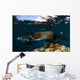 California Sea Lion Playing Wall Decal Design 4