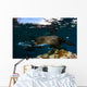 California Sea Lion Playing Wall Decal Design 4