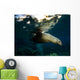 California Sea Lion Playing Wall Decal Design 3