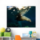 California Sea Lion Playing Wall Decal Design 3