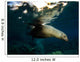 California Sea Lion Playing Wall Decal Design 3