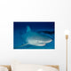 Female Bull Shark Wall Decal