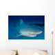 Female Bull Shark Wall Decal