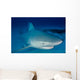 Female Bull Shark Wall Decal