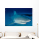 Female Bull Shark Wall Decal