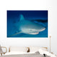 Female Bull Shark Wall Decal