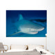 Female Bull Shark Wall Decal