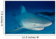 Female Bull Shark Wall Decal