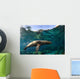 California Sea Lion Playing Wall Decal Design 1