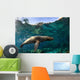California Sea Lion Playing Wall Decal Design 1