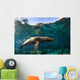 California Sea Lion Playing Wall Decal Design 1
