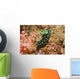 Crested Nembrotha Cristata Nudibranch Wall Decal