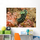 Crested Nembrotha Cristata Nudibranch Wall Decal