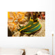 Gabriela's Tambja Tambja Gabrielae Wall Decal