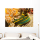 Gabriela's Tambja Tambja Gabrielae Wall Decal
